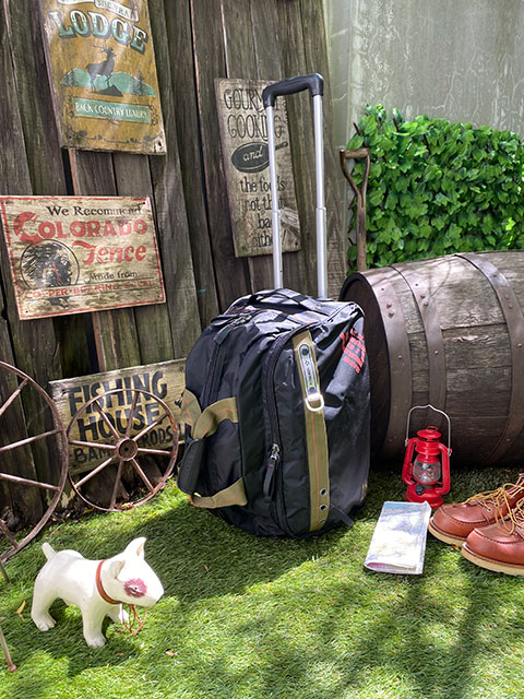 ե饤󥰥ܥǥܥȥ󥭥꡼ʥ֥å