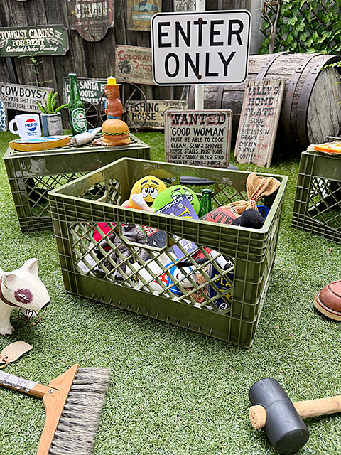 ���Ứ�����󤬥���å׽���Ȥ��Ƥ褯�Ȥ�������ꥫ�󡡥���������ɡ��ߥ륯���졼�ȡ��ʥ쥯���󥰥�/�������ˡ�ñ��