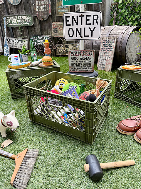 ���Ứ�����󤬥���å׽���Ȥ��Ƥ褯�Ȥ�������ꥫ�󡡥���������ɡ��ߥ륯���졼�ȡ��ʥ쥯���󥰥�/�������ˡ�ñ��