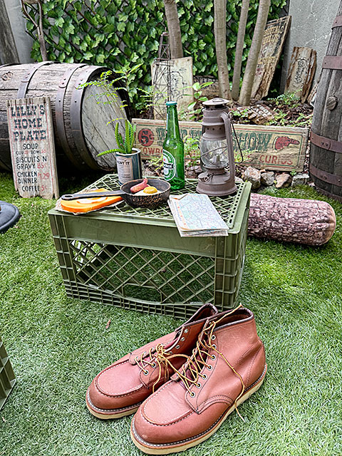 ���Ứ�����󤬥���å׽���Ȥ��Ƥ褯�Ȥ�������ꥫ�󡡥���������ɡ��ߥ륯���졼�ȡ��ʥ쥯���󥰥�/�������ˡ�ñ��