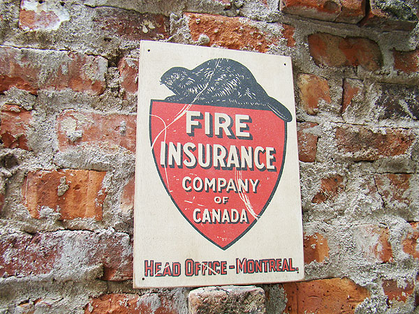 ΤΥɥХ󥰡åɥ󡡥꡼ơʥե䡼