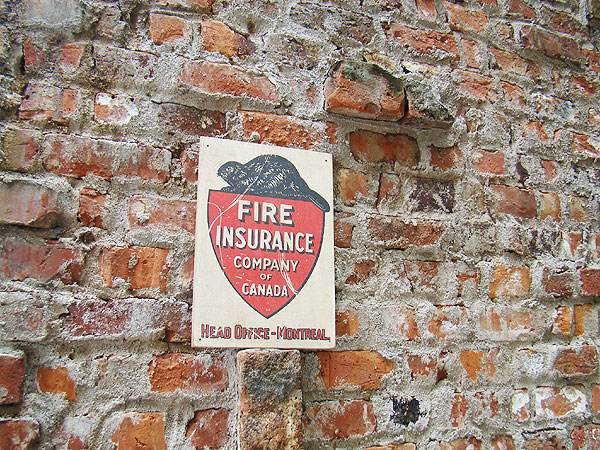 ΤΥɥХ󥰡åɥ󡡥꡼ơʥե䡼