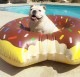 ��BIGMOUTH�ҡۡ������ʡۥ���ꥫ�󡡥ס���ե����ȡ��ʥ��祳�ɡ��ʥġˡ�