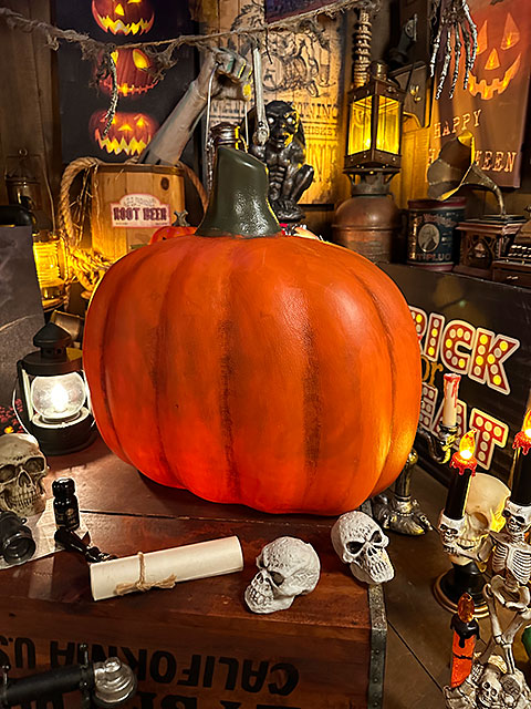 �꤬�����ǳ���Ƥ�ߤ�����������顡�ѥ�ץ����󥿥�42cm���ϥ������󡡥���å���������󥿥󡡥��ܥ��㡡���Х�