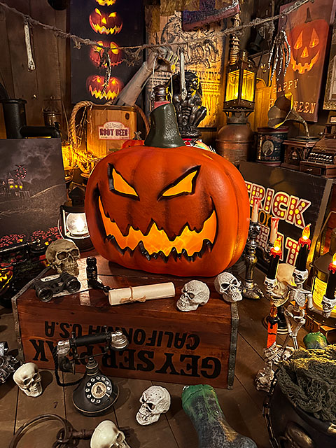 �꤬�����ǳ���Ƥ�ߤ�����������顡�ѥ�ץ����󥿥�42cm���ϥ������󡡥���å���������󥿥󡡥��ܥ��㡡���Х�