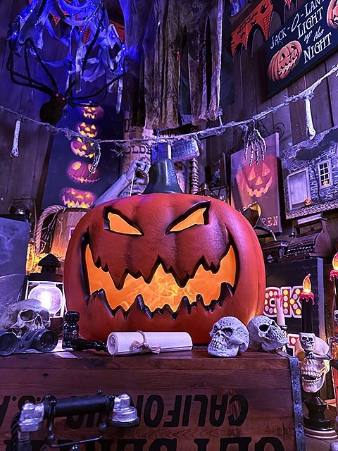 �꤬�����ǳ���Ƥ�ߤ�����������顡�ѥ�ץ����󥿥�42cm���ϥ������󡡥���å���������󥿥󡡥��ܥ��㡡���Х�