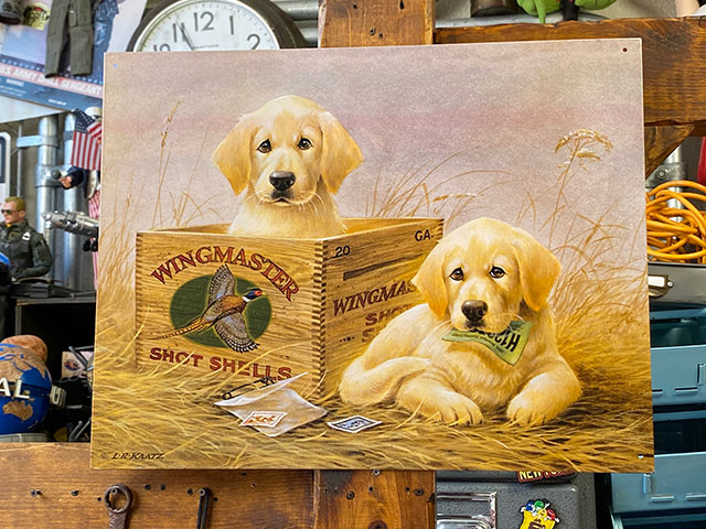 ������ǥ��ȥ�С����֥ꥭ���ġ��ʥ����������������