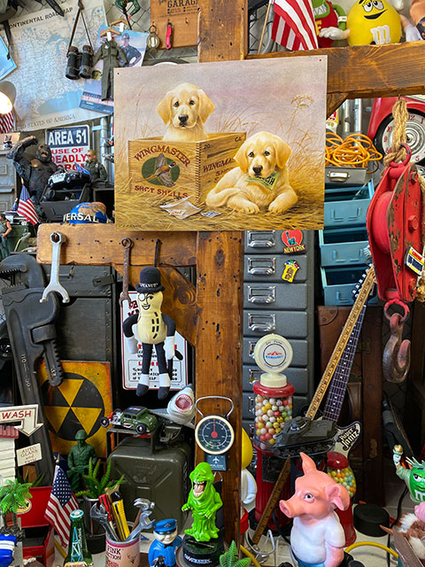 ������ǥ��ȥ�С����֥ꥭ���ġ��ʥ����������������