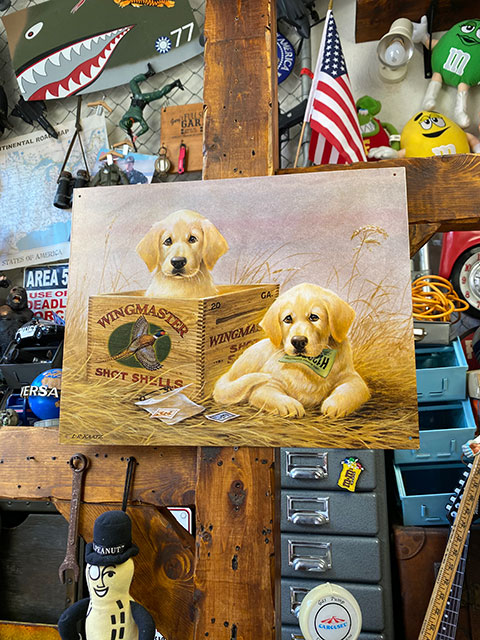 ������ǥ��ȥ�С����֥ꥭ���ġ��ʥ����������������