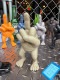X�ե��󥬡��ޥ󡡥ݥ�쥸�󡡥ե����奢���ʥ饤�ȥ֥饦���