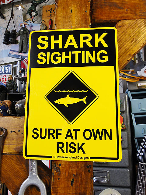 ϥ磻󥵥ܡɡʥ/SHARK SIGHTING