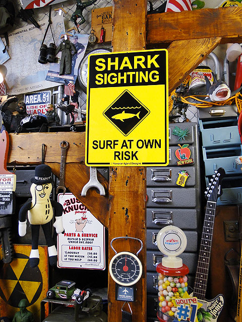 ϥ磻󥵥ܡɡʥ/SHARK SIGHTING