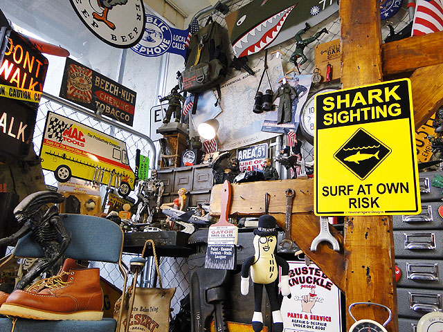 ϥ磻󥵥ܡɡʥ/SHARK SIGHTING