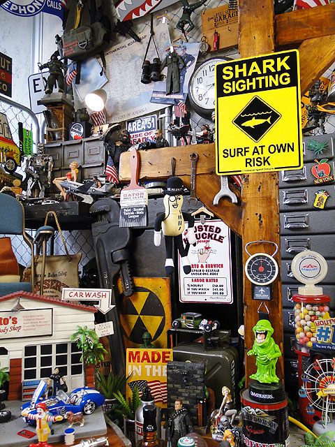 ϥ磻󥵥ܡɡʥ/SHARK SIGHTING