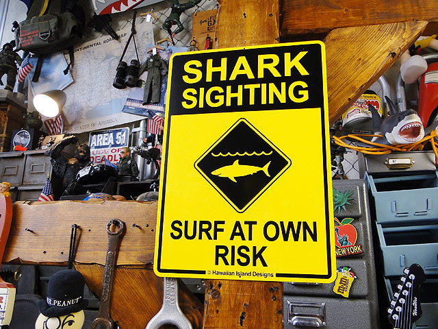 ϥ磻󥵥ܡɡʥ/SHARK SIGHTING