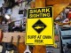 ϥ磻󥵥ܡɡʥ/SHARK SIGHTING