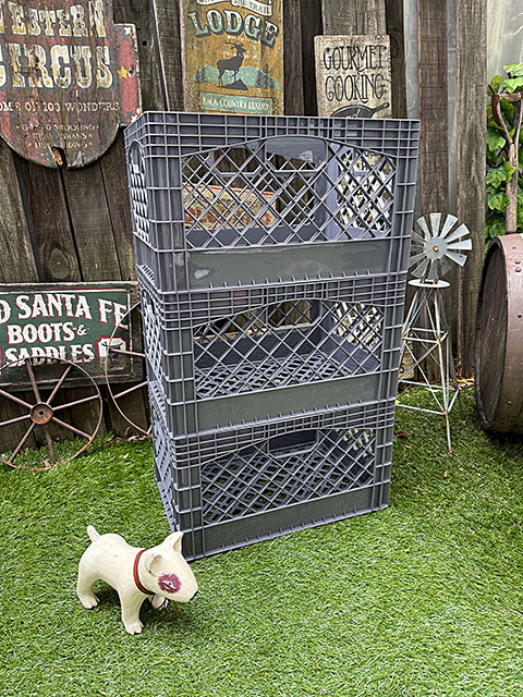 ���Ứ�����󤬥���å׽���Ȥ��Ƥ褯�Ȥ�������ꥫ�󡡥���������ɡ��ߥ륯���졼�ȡ��ʥ쥯���󥰥�/���졼�ˡ�ñ��