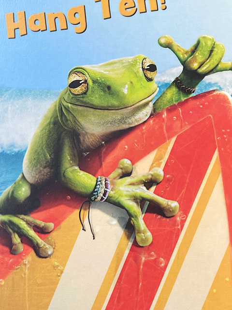 եˡ˥ޥ롡ϥ󥮥󥰥󡡡ʥեեå