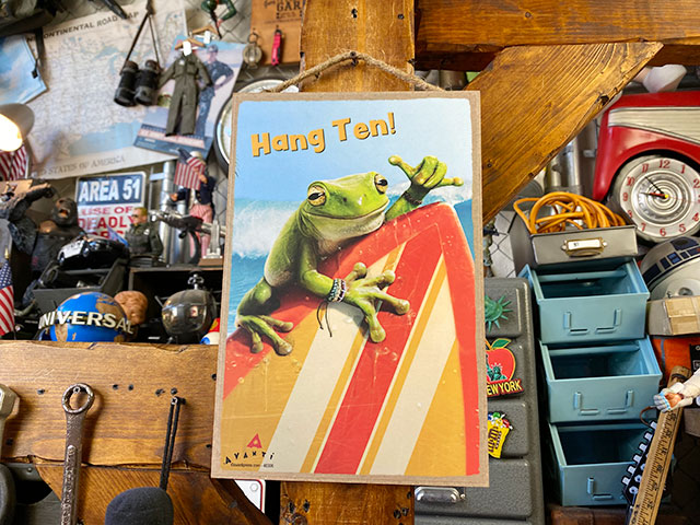 եˡ˥ޥ롡ϥ󥮥󥰥󡡡ʥեեå