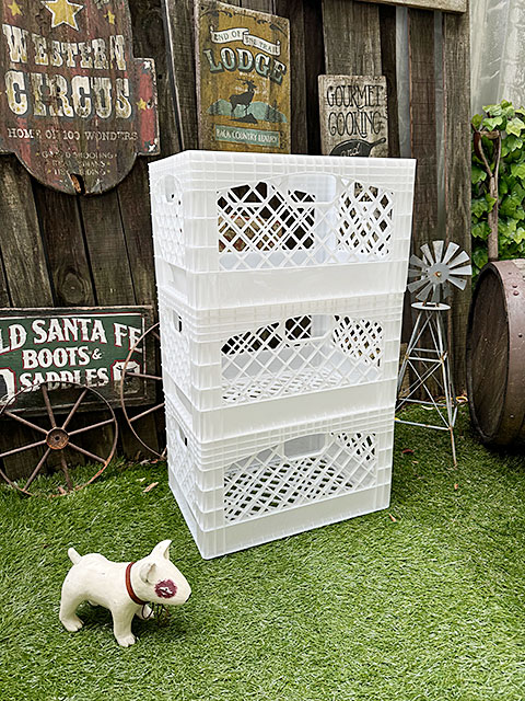 ���Ứ�����󤬥���å׽���Ȥ��Ƥ褯�Ȥ�������ꥫ�󡡥���������ɡ��ߥ륯���졼�ȡ��ʥ쥯���󥰥�/�ۥ磻�ȡˡ�ñ��