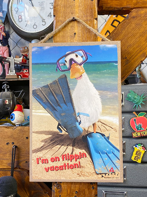 եˡ˥ޥ롡ϥ󥮥󥰥󡡡ʥХå