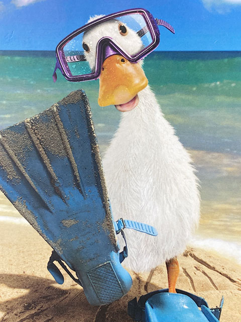 եˡ˥ޥ롡ϥ󥮥󥰥󡡡ʥХå