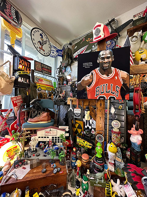 �ǥ���������L��������51cm���ޥ����롦���硼���󡡥ݥåץ����ȥե졼��