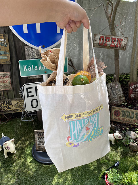 ϥ磻󡡥Хåʥϥ쥤̾ʪġ