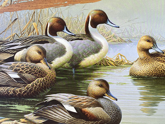 ���å����������ߥƥåɡ��֥ꥭ���ġ���Morning Most��