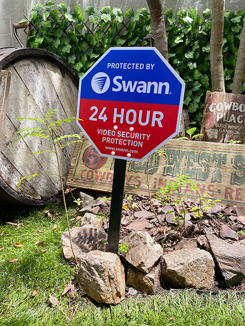 Swann������󡡥ۡ��ॻ�����ƥ������󡡡ʥ��ƥå���4����°��