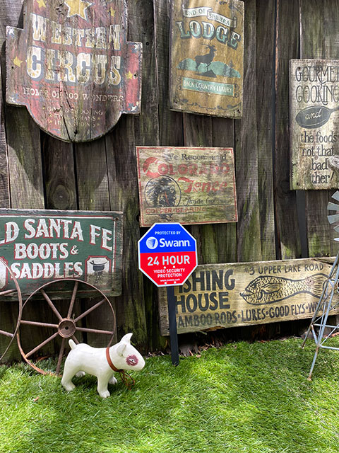 Swann������󡡥ۡ��ॻ�����ƥ������󡡡ʥ��ƥå���4����°��