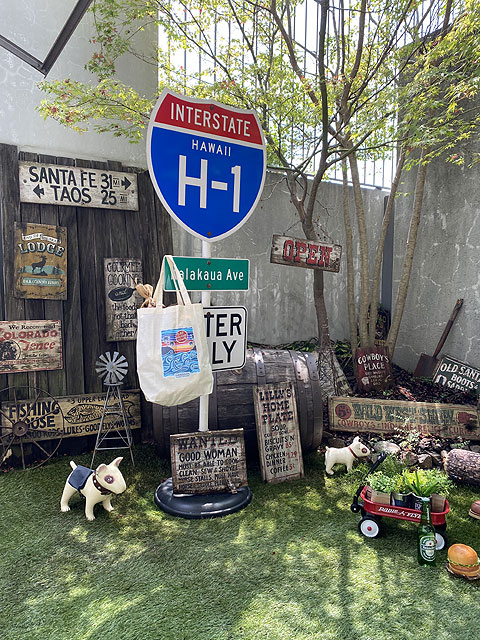 ϥ磻󡡥Хåʥ󥻥åȡ֡