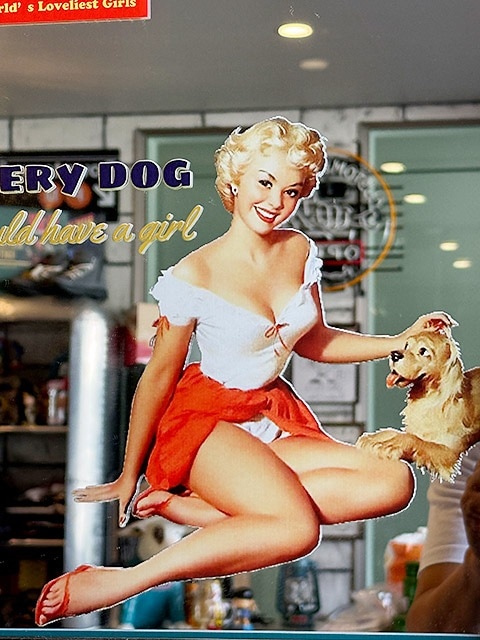 ������ɥ���ꥫ�󡡥ѥ֥ߥ顼���ԥ�ʥåץ����롡��EVERY DOG BLOND��