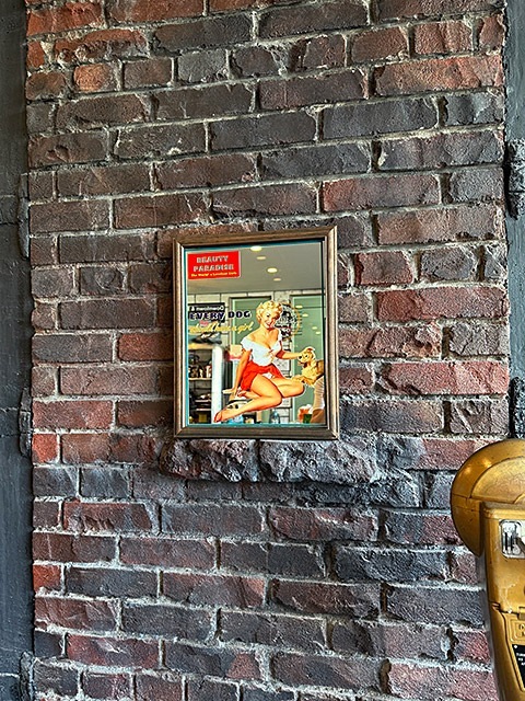 ������ɥ���ꥫ�󡡥ѥ֥ߥ顼���ԥ�ʥåץ����롡��EVERY DOG BLOND��