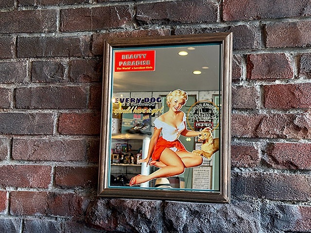 ������ɥ���ꥫ�󡡥ѥ֥ߥ顼���ԥ�ʥåץ����롡��EVERY DOG BLOND��