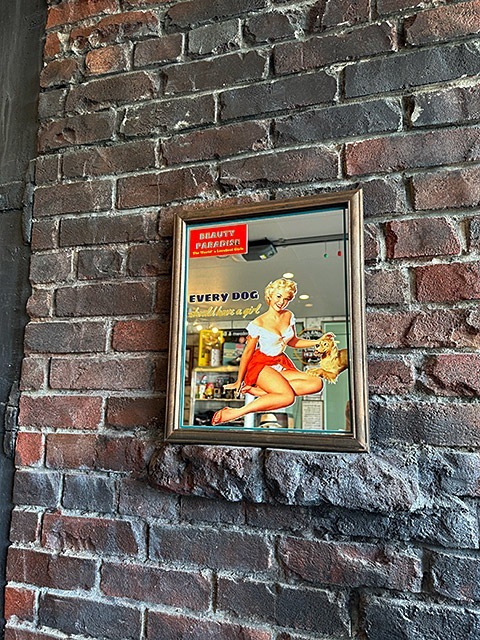 ������ɥ���ꥫ�󡡥ѥ֥ߥ顼���ԥ�ʥåץ����롡��EVERY DOG BLOND��