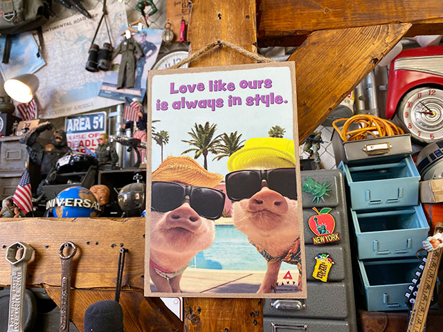 եˡ˥ޥ롡ϥ󥮥󥰥󡡡ʥ󥰥饹ԥå