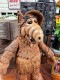 NECA������ա�7�����������ƥ���åȡ����������ե����奢