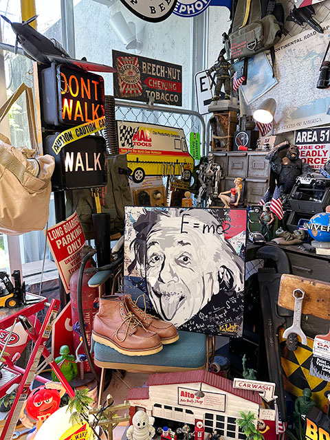 �ǥ���������L��������51cm��ŷ�Ͳʳؼԥ����󥷥奿������Ρ��ݥåץ����ȥե졼�ࡡ��TYPE2/E=mc2��