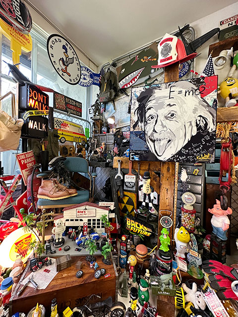 �ǥ���������L��������51cm��ŷ�Ͳʳؼԥ����󥷥奿������Ρ��ݥåץ����ȥե졼�ࡡ��TYPE2/E=mc2��