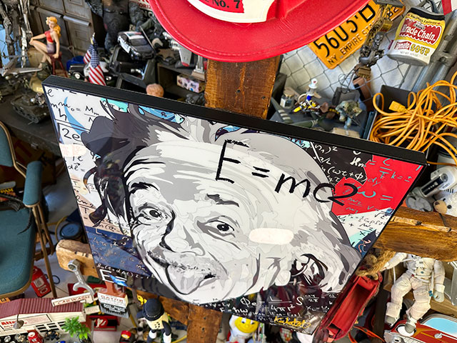 �ǥ���������L��������51cm��ŷ�Ͳʳؼԥ����󥷥奿������Ρ��ݥåץ����ȥե졼�ࡡ��TYPE2/E=mc2��