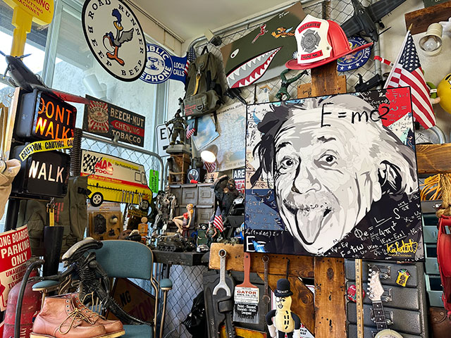 �ǥ���������L��������51cm��ŷ�Ͳʳؼԥ����󥷥奿������Ρ��ݥåץ����ȥե졼�ࡡ��TYPE2/E=mc2��