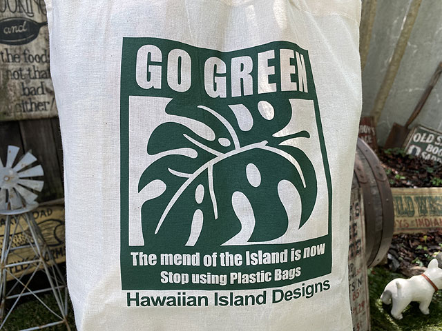 ϥ磻󡡥Хåʥ󥹥ƥ