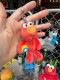NICI���˥��������ߥ��ȥ꡼�ȡ�����⡡�̤�����ߡ������ۥ����