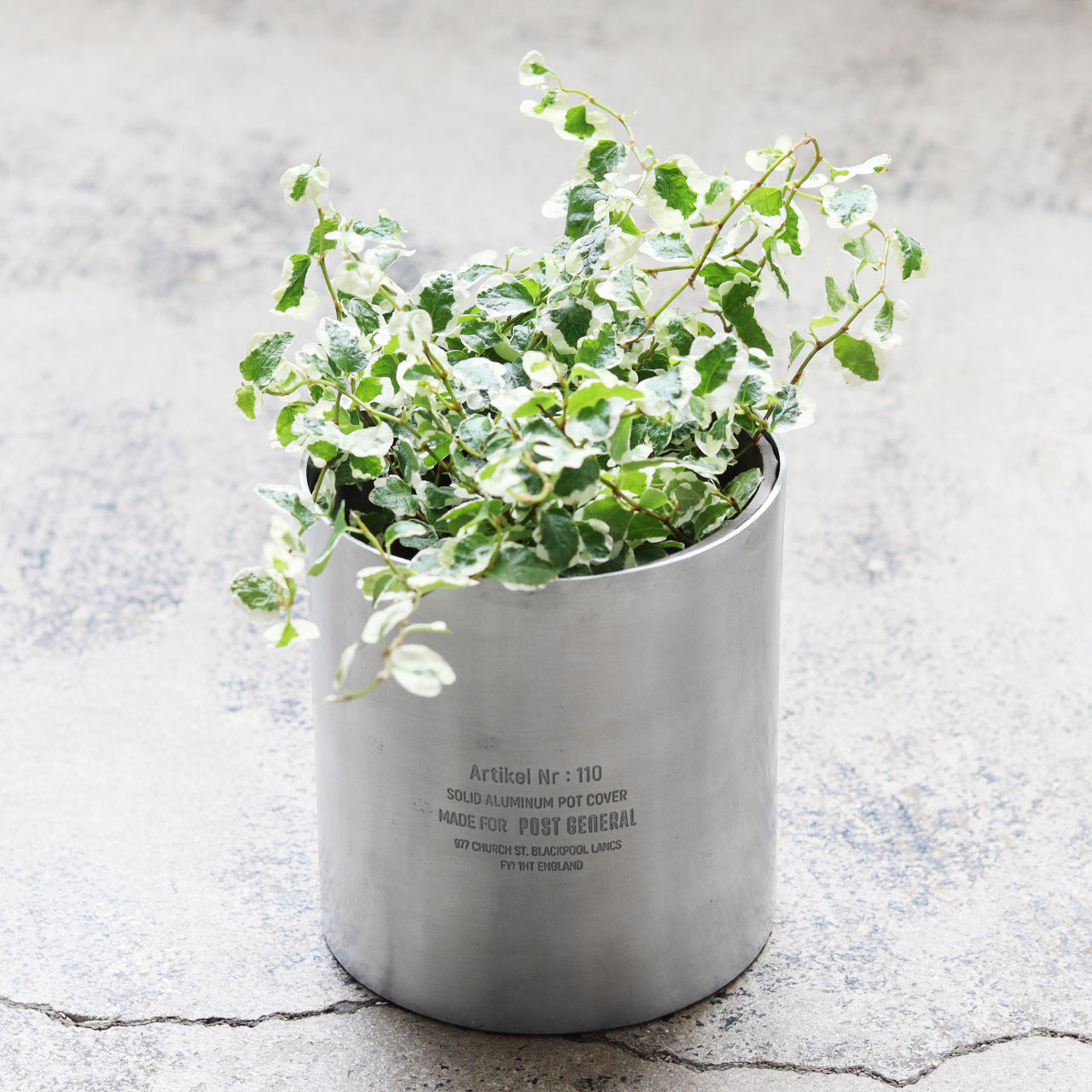 ݥȥͥ롡åɡߥʥࡡݥåȥС羮2ĥåȡˡȭС