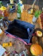 �Х����������Ǽ�Х����åȡ���ʪ����