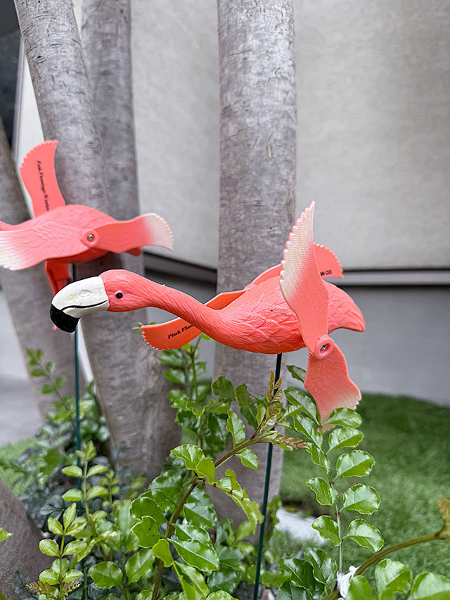 �ԥ󥯥ե�ߥ󥴡��ե饤�󥰡������ǥ󥪡��ʥ��ȡ���2�Υ��åȡ�