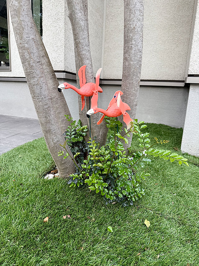 �ԥ󥯥ե�ߥ󥴡��ե饤�󥰡������ǥ󥪡��ʥ��ȡ���2�Υ��åȡ�