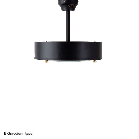 ˡ륷󥰥סNEIL CEILING LAMPʥ֥å