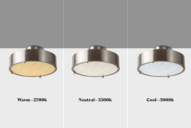 ˡ륷󥰥סNEIL CEILING LAMPʥ֥å